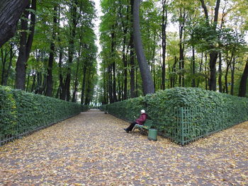 Man reading book while sitting on bench amidst trees