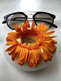 Close-up of orange flower