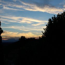Silhouette trees against sky during sunset