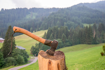 Close-up of hatchet on chopping block against trees on field in the mountains