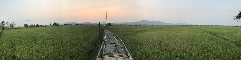 Scenic view of field against sky during sunset