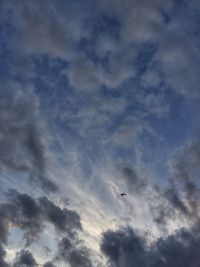 Low angle view of birds flying against sky