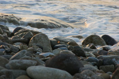 Pebbles at sea shore