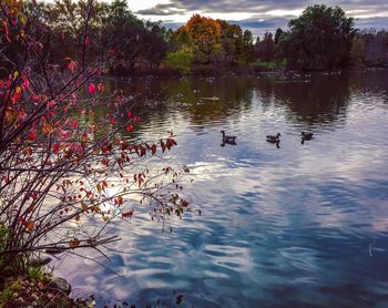 Scenic view of lake against sky