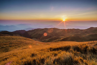 Scenic view of field against sky during sunset