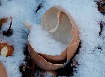 High angle view of ice cream in snow