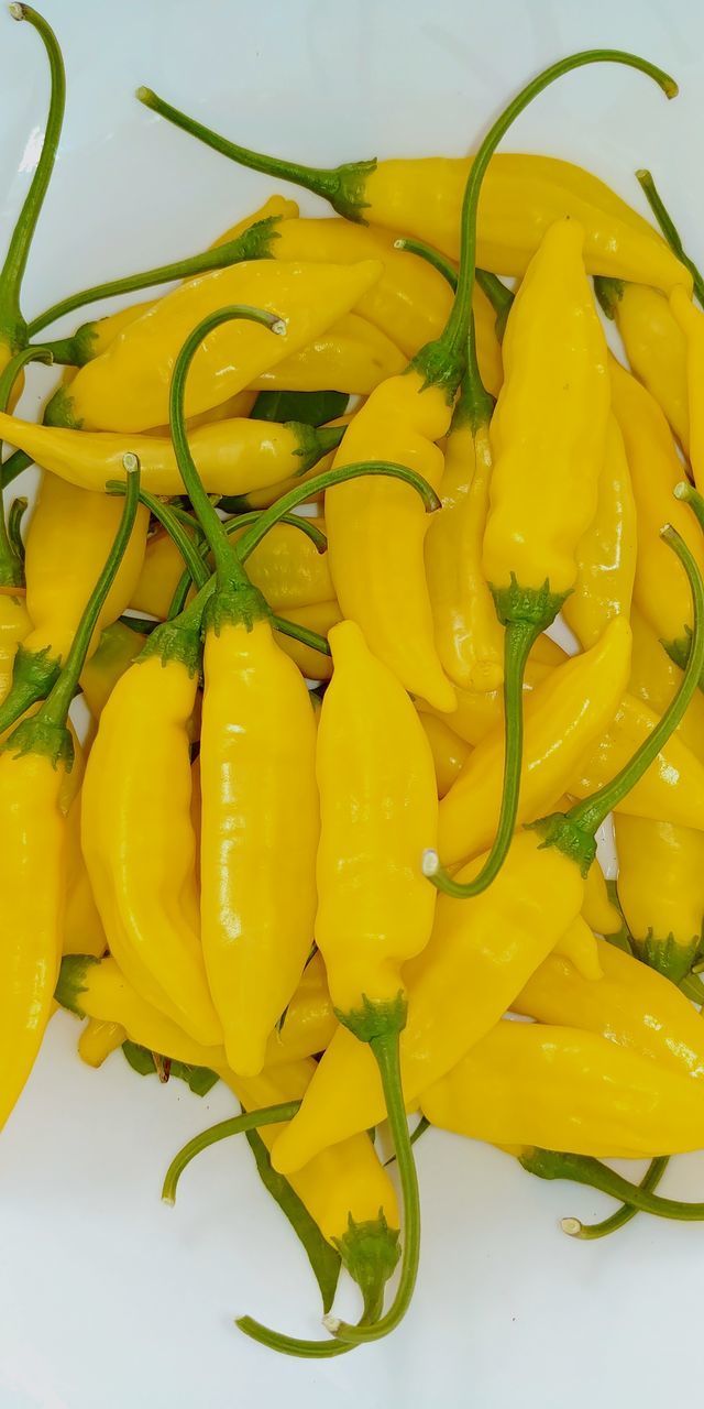 HIGH ANGLE VIEW OF YELLOW CHILI PEPPERS IN CONTAINER