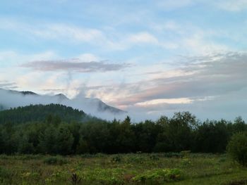 Scenic view of field and trees against sky
