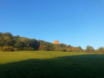 Scenic view of field against clear blue sky