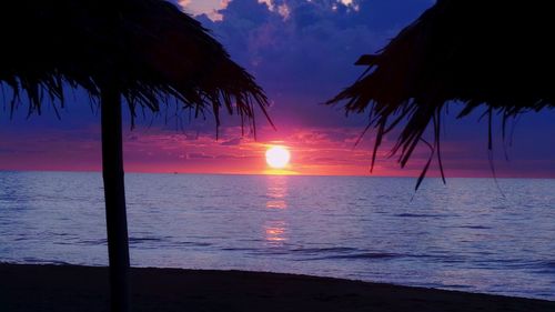 Silhouette of palm trees at sunset
