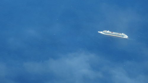 Close-up of tree against blue sky