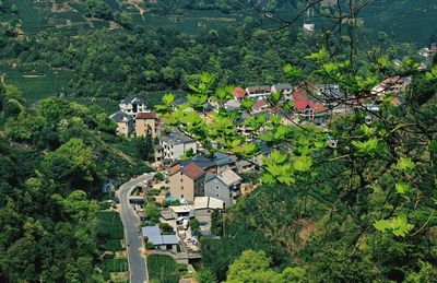 High angle view of houses and trees against sky