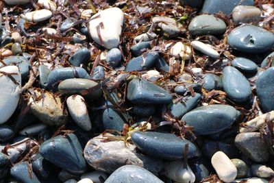 Full frame shot of pebbles on beach