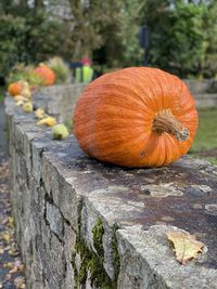 Close-up of pumpkin on plant during autumn