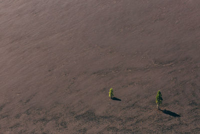 High angle view of people on field