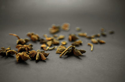 Star anise spice lying down on black table background