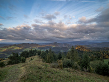 Scenic view of landscape against sky