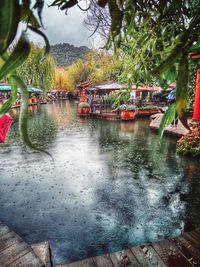 Scenic view of trees against sky