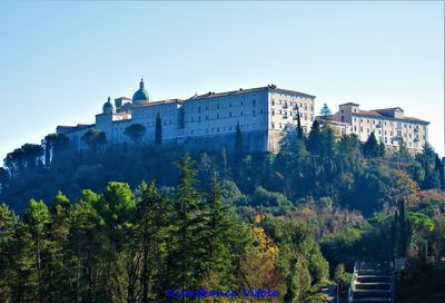 Trees and buildings against clear blue sky