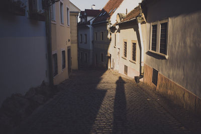 Houses amidst residential buildings