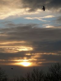 Scenic view of sunset sky