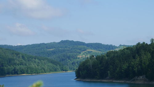 Scenic view of river in forest against sky