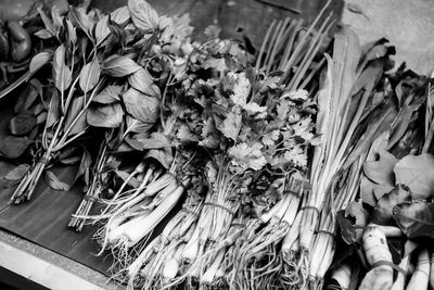 Close-up high angle view of leaves