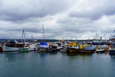 Sailboats moored on harbor against sky