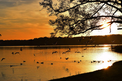 Scenic view of lake against sky during sunset