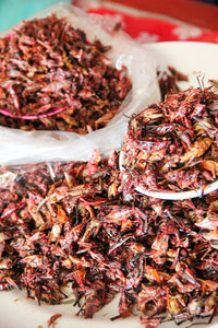 High angle view of insect for sale in market