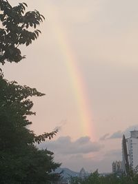 Rainbow over buildings in city against sky