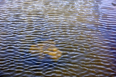 water