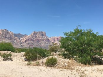 Scenic view of landscape against blue sky