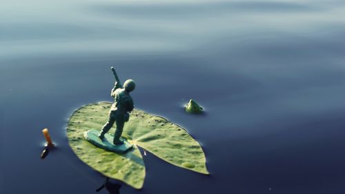 Duck floating in a lake