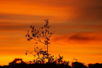 Another golden sunset in the land down under