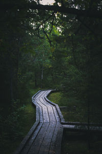 Empty footpath amidst trees in forest