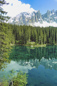 Scenic view of lake by trees against sky