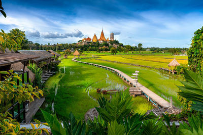 Wat tham sua temple is a rice field around in kanchanaburi, thailand