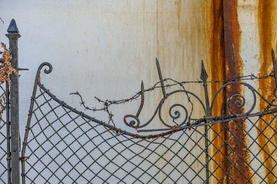 Close-up of metal fence against wall