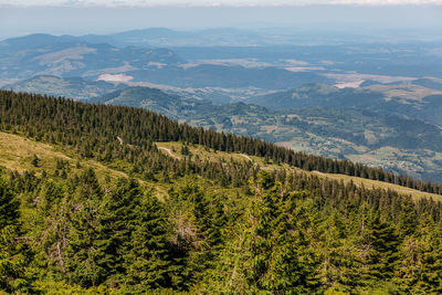 High angle view of landscape