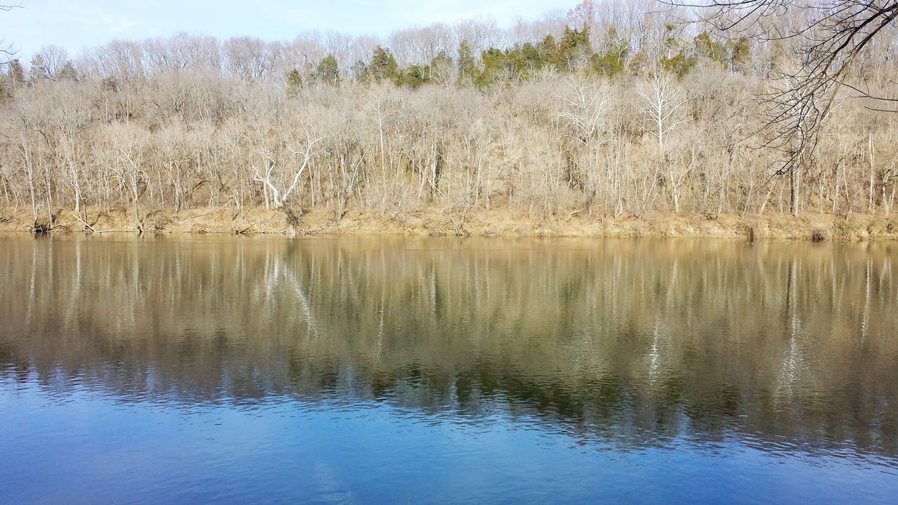 water, reflection, lake, tranquil scene, waterfront, tranquility, scenics, beauty in nature, tree, nature, idyllic, day, standing water, outdoors, lakeshore, non-urban scene, calm, no people, growth, plant