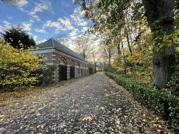 Road amidst trees and buildings against sky during autumn