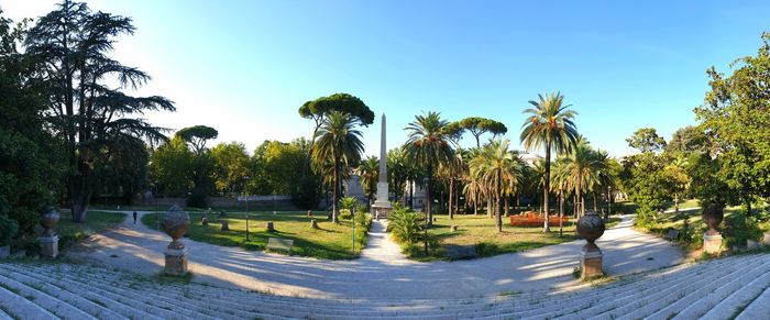 Panoramic view of palm trees in park against sky