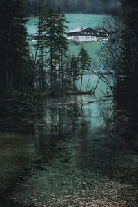 Reflection of trees in lake against sky