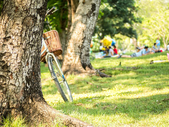 View of tree trunk in park