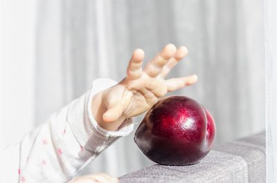 Close-up of hand holding apple