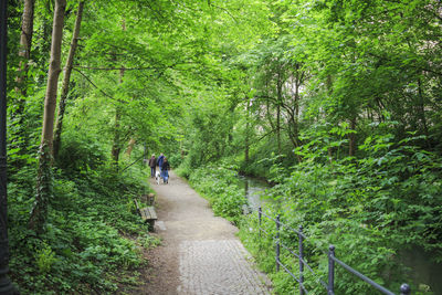 People walking on footpath in forest