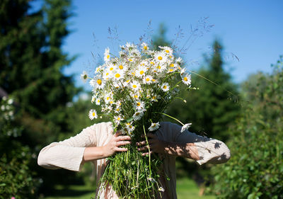 Woman holding daisies bouquet against trees at park