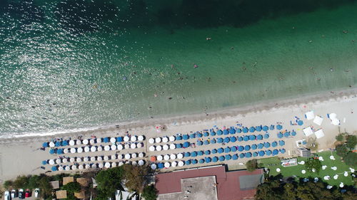 High angle view of plants by sea