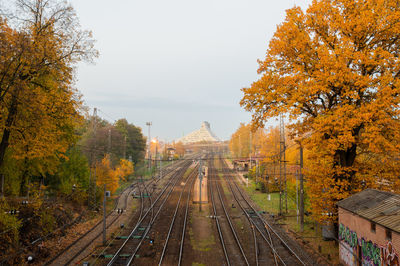 Railroad tracks amidst autumn trees against sky